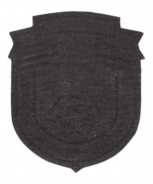 Шеврон пластизолевый МЧС России ФПС &mdash; 2