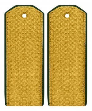 Превью Погоны парадные пограничных войск &mdash; 1