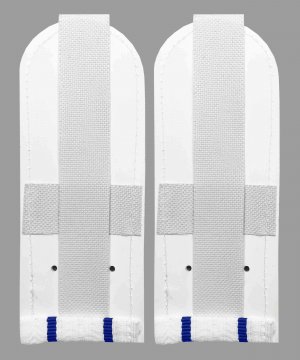 Превью Погоны юстиции белые два просвета &mdash; 2