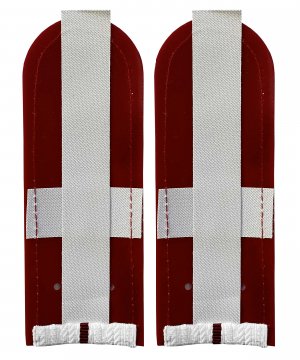 Превью Погоны ФСИН белые один просвет &mdash; 2