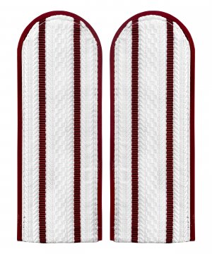 Погоны ФСИН белые два просвета &mdash; 1