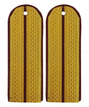 Погоны парадные ФСИН один просвет &mdash; 1