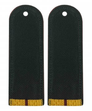 Погоны парадные ФСИН один просвет &mdash; 2