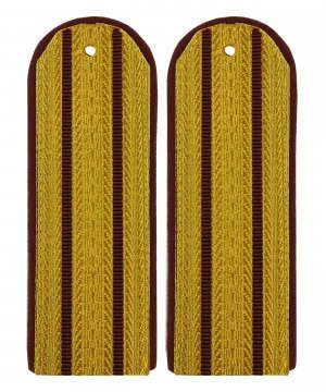 Погоны парадные ФСИН два просвета &mdash; 1