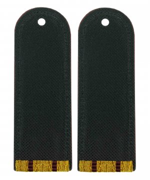 Погоны парадные ФСИН два просвета &mdash; 2