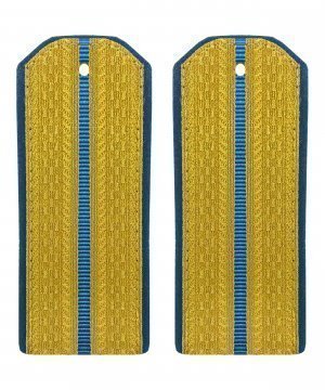 Превью Погоны ВДВ парадные один просвет &mdash; 1