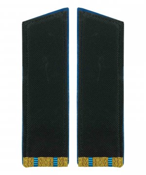 Превью Погоны ВДВ парадные длинные два просвета &mdash; 2