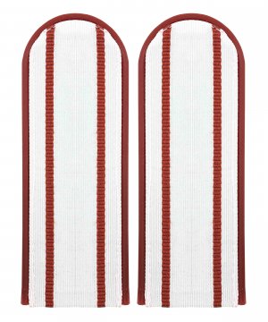 Погоны белые МЧС два просвета &mdash; 1