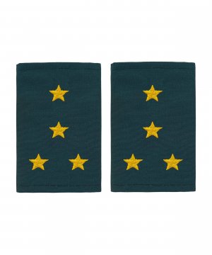 Фальшпогоны МЧС капитан &mdash; 1