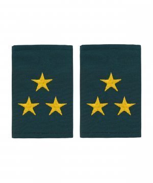 Фальшпогоны МЧС полковник &mdash; 1