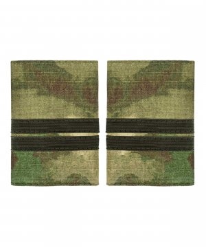 Фальшпогоны мох младший сержант &mdash; 1