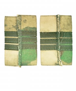 Превью Фальшпогоны мох сержант &mdash; 2