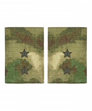 Превью Фальшпогоны мох прапорщик &mdash; 1