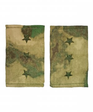 Фальшпогоны мох старший прапорщик &mdash; 1