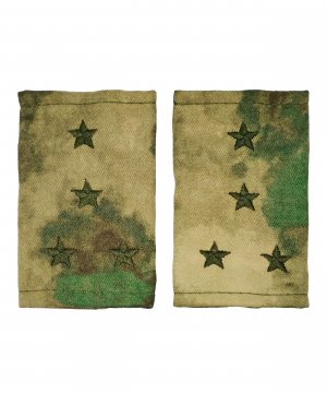 Фальшпогоны мох капитан &mdash; 1