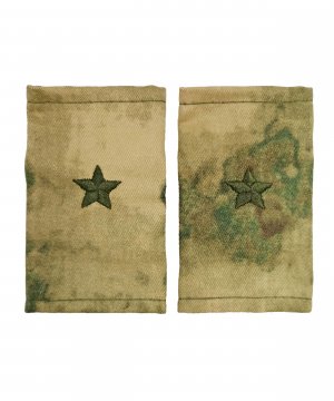 Фальшпогоны мох майор &mdash; 1