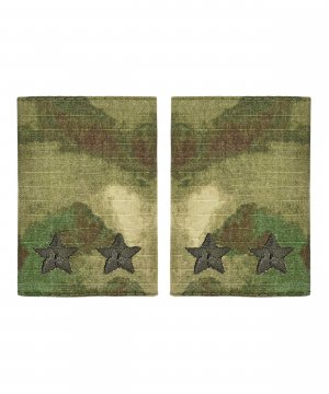 Фальшпогоны мох подполковник &mdash; 1