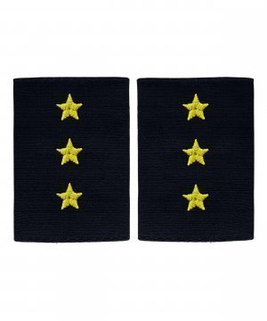 Фальшпогоны вышитые полиции старший прапорщик &mdash; 1