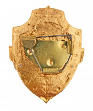 Нагрудный знак дежурный по институту &mdash; 2