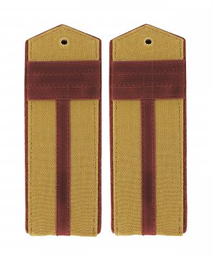 Погоны ВОВ старшина &mdash; 1