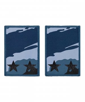 Превью Фальшпогоны КМФ береза Подполковник &mdash; 1