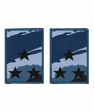 Фальшпогоны КМФ береза Полковник &mdash; 1