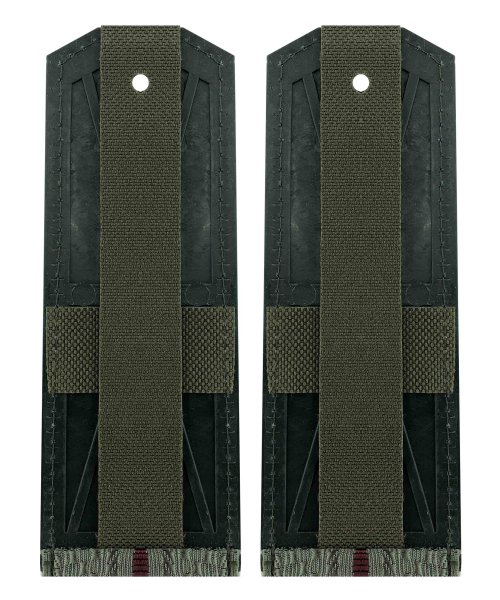 Погоны на рубашку ВВ один просвет &mdash; 2