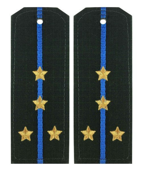 Погоны китель ВДВ капитан &mdash; 1