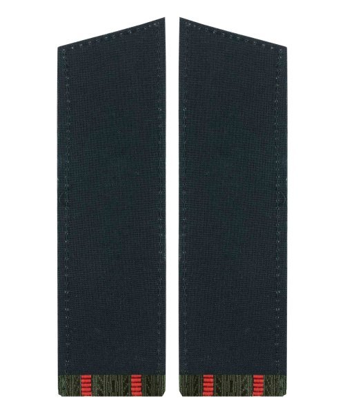 Погоны ВС два просвета длинные &mdash; 2