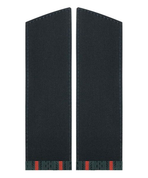 Погоны шинель ВС два просвета &mdash; 2