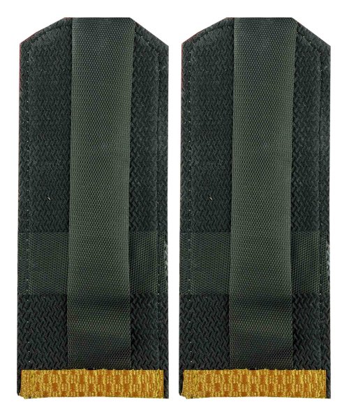 Погоны парадные ВВ рядовой &mdash; 2