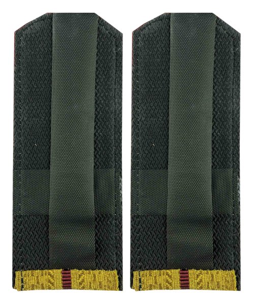 Погоны парадные ВВ один просвет &mdash; 2