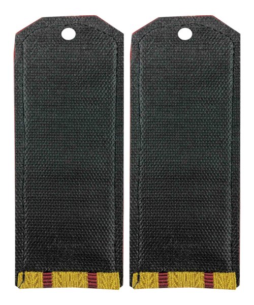 Погоны парадные ВВ два просвета &mdash; 2