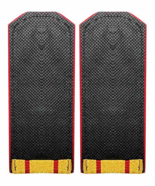 Погоны парадные ВС два просвета &mdash; 2