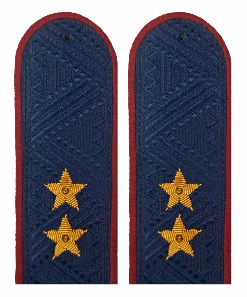 Погоны ФСИН Генерал-лейтенант на китель