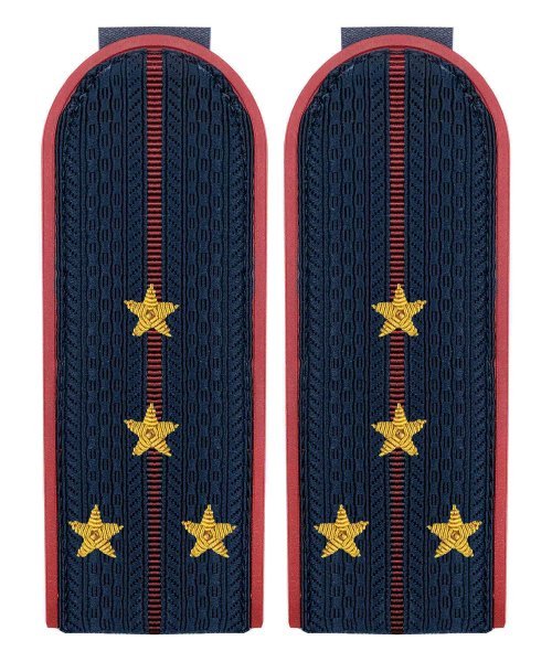Погоны ФСИН капитан