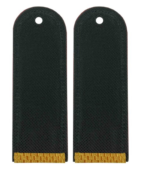 Погоны парадные ФСИН рядовой &mdash; 2