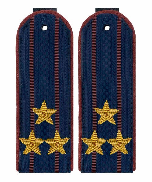 Погоны ФСИН полковник