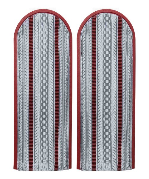 Погоны на рубашку ФСИН два просвета