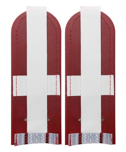 Погоны на рубашку ФСИН два просвета &mdash; 2