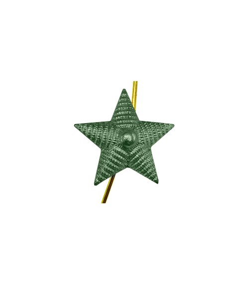 Звезда на погоны рифленая зеленая 13 мм &mdash; 1
