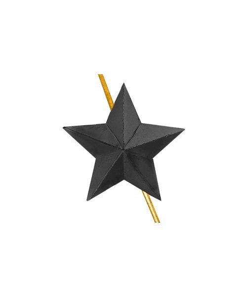 Звезда на погоны ФСИН черная 18 мм &mdash; 1