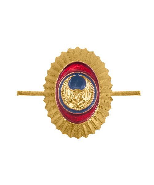 Кокарда орех сова ВОХР &mdash; 1