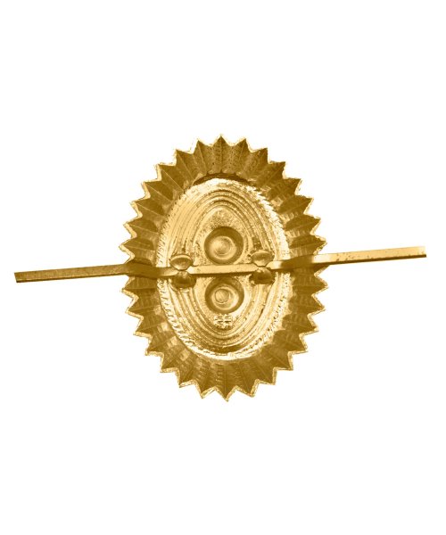 Кокарда орех сова ВОХР &mdash; 2