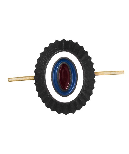 Кокарда орех ФСИН неуставная &mdash; 1