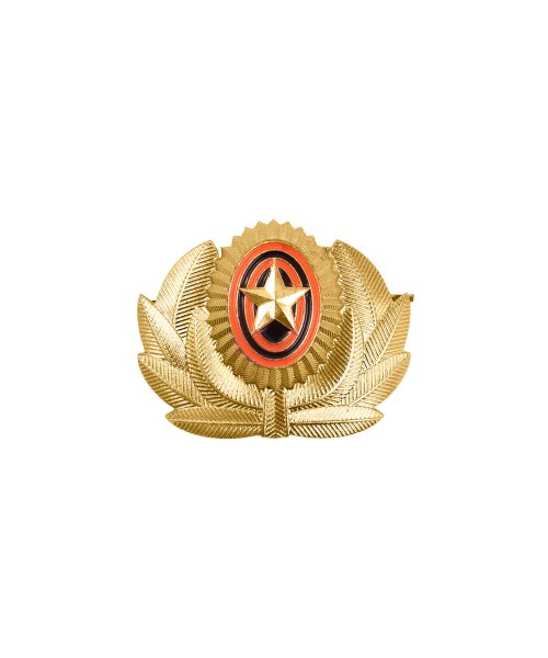 Кокарда с ветвями МО металлическая &mdash; 1