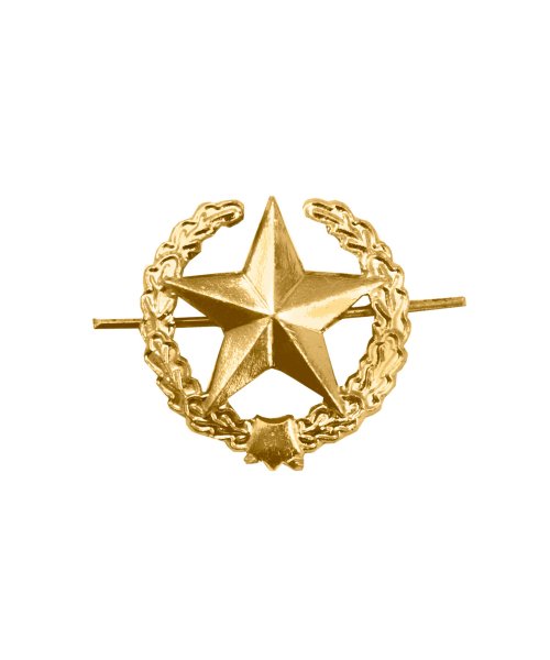 Эмблема ОВ звезда желтая металлическая &mdash; 1