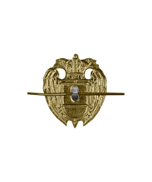 Эмблема ФСО &mdash; 2