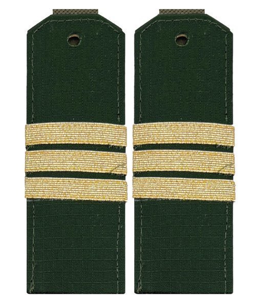 Погоны офисные сержант