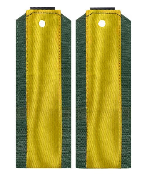 Погоны офисные старшина